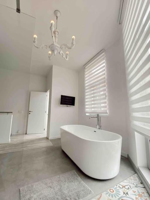 Beautiful Spacious 1 Bedroom Loft Apartment